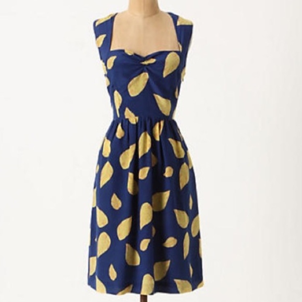 Anthropologie Tupelo Dress by Maple